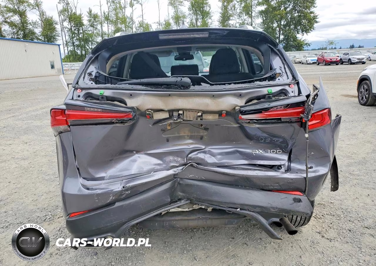 2018 Lexus Nx 300 Base VIN:JTJYARBZ9J2101900 - 6