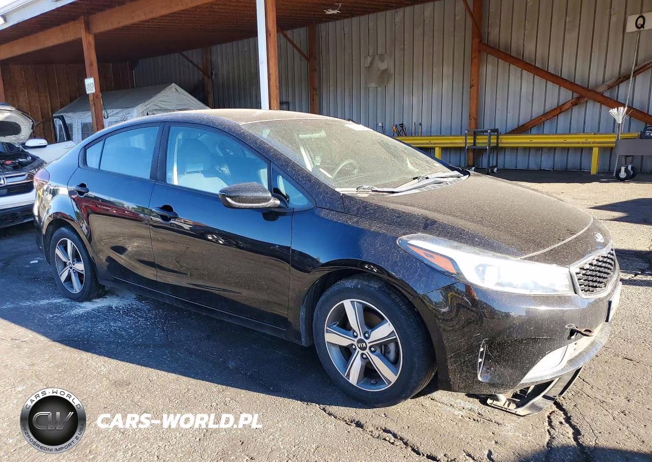 2018 Kia Forte Lx VIN:3KPFL4A76JE256897 - 4