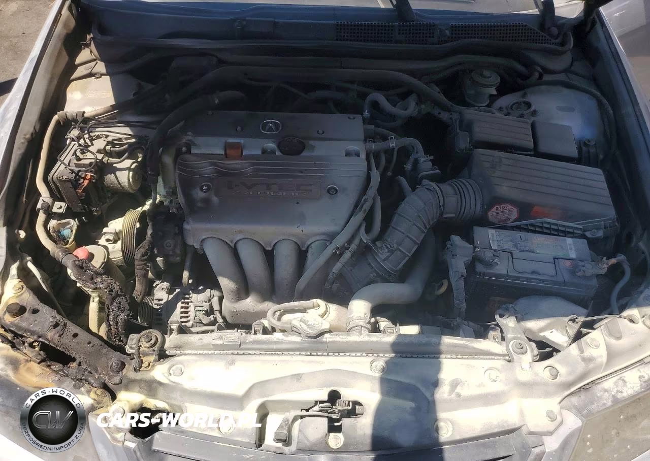 2004 Acura Tsx VIN:JH4CL96934C029476 - 11