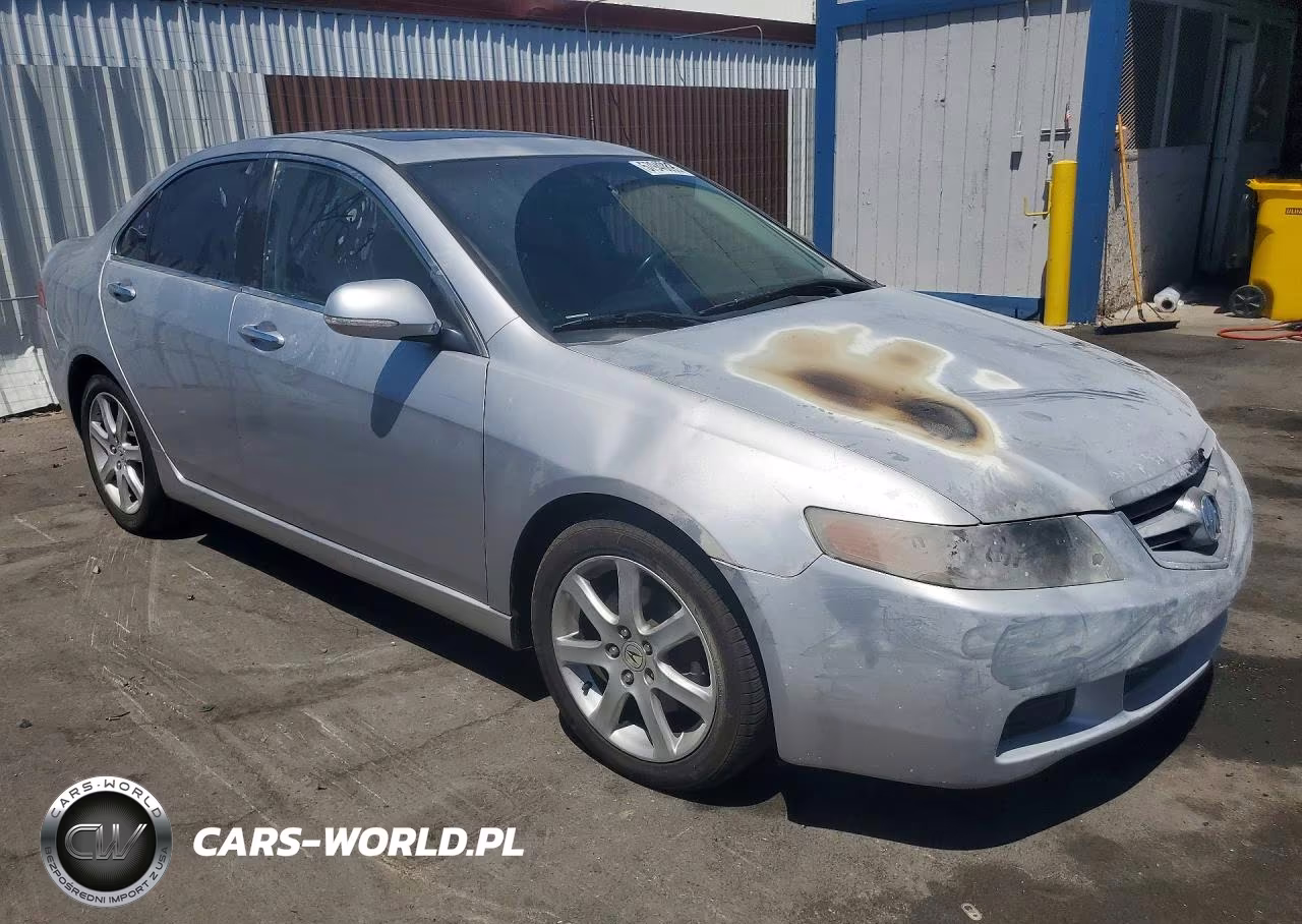 2004 Acura Tsx VIN:JH4CL96934C029476 - 4