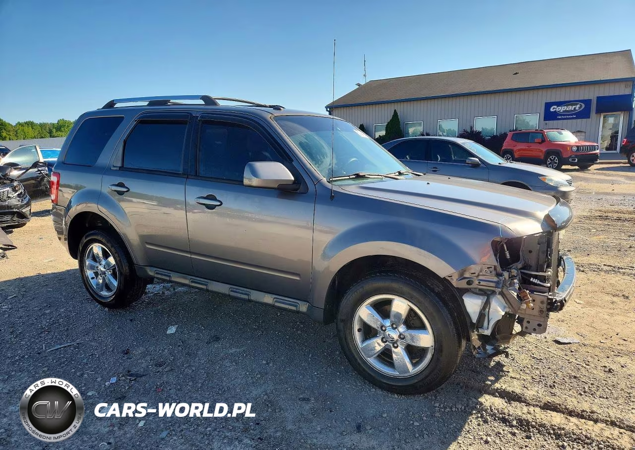 2009 Ford Escape Limited VIN:1FMCU04G19KA14270 - 4
