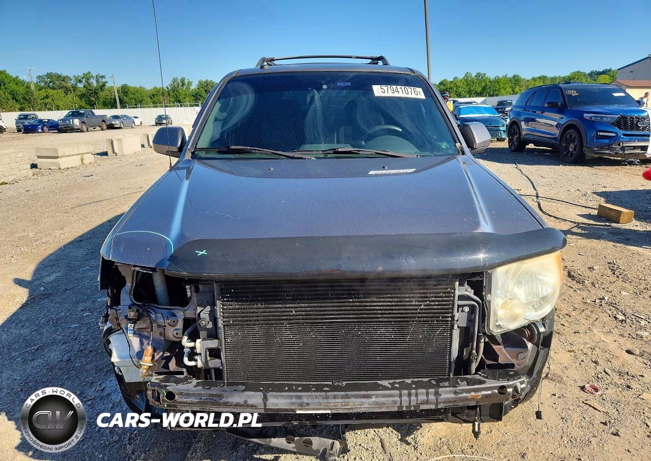 2009 Ford Escape Limited VIN:1FMCU04G19KA14270 - 5