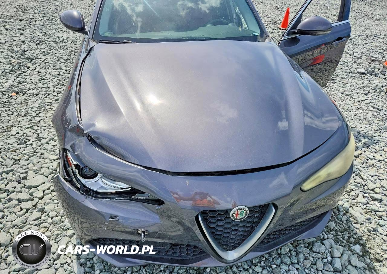2018 Alfa Romeo Giulia Q4 VIN:ZARFAEDN7J7566715 - 11