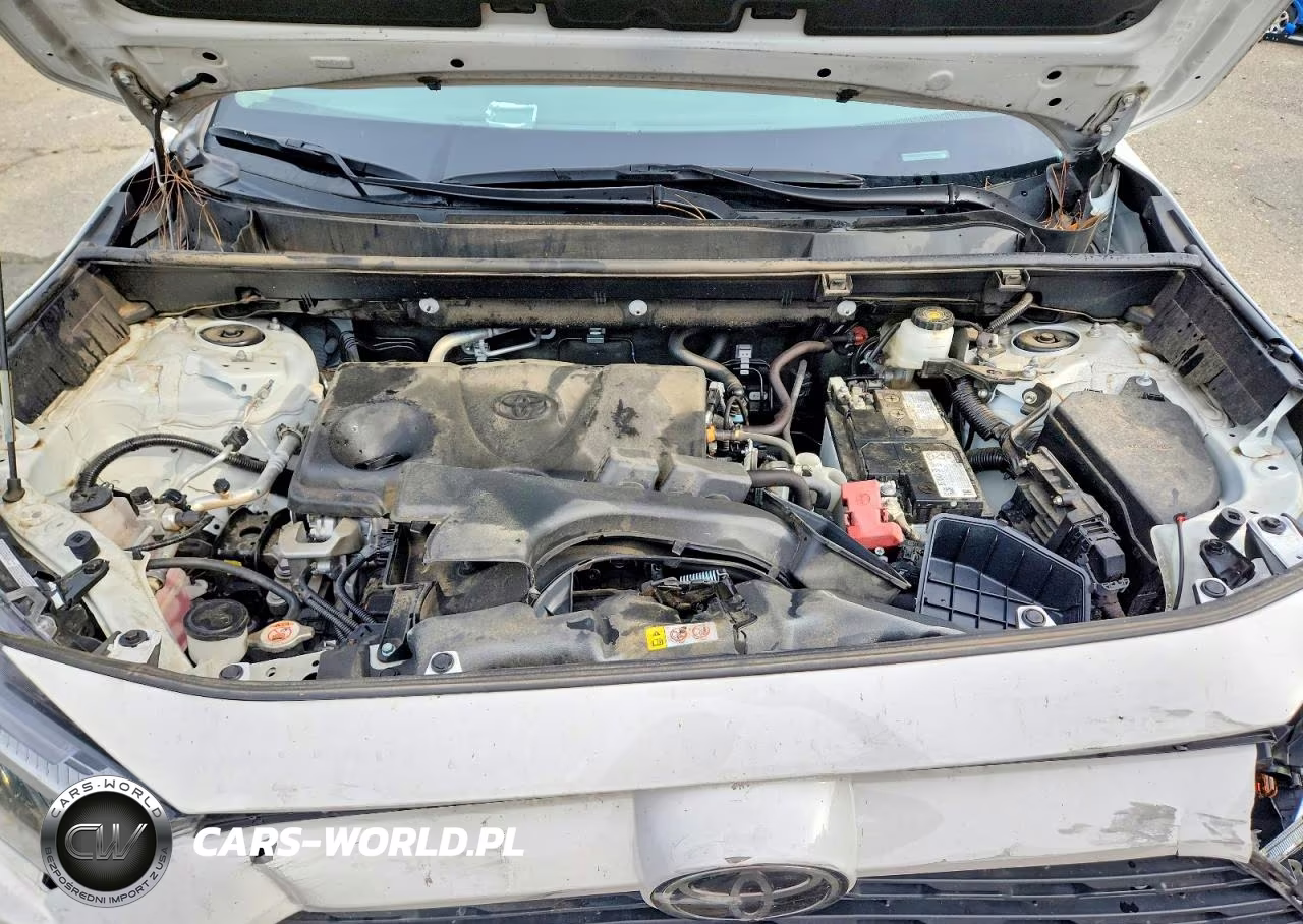2024 Toyota Rav4 Xle VIN:2T3W1RFVXRC277313 - 12
