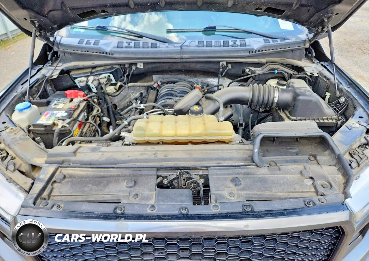 2019 Ford F150 Supercrew VIN:1FTEW1E58KKC95029 - 11