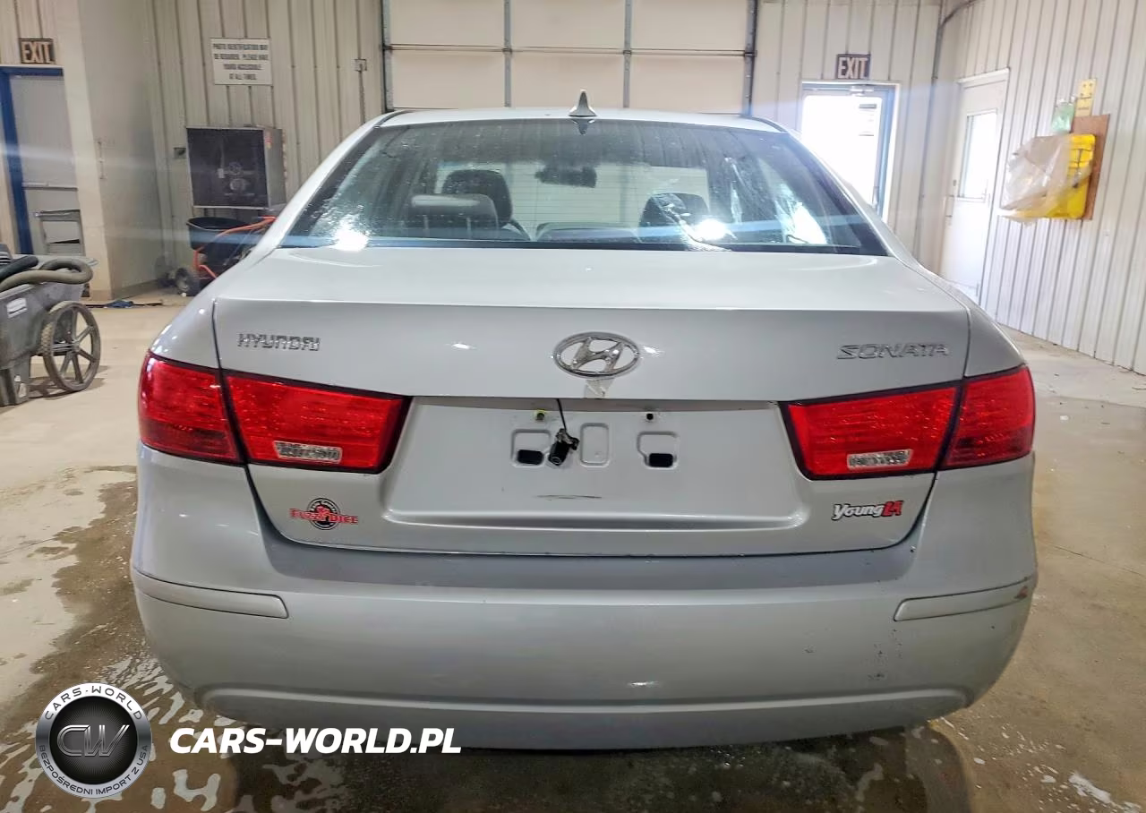 2010 Hyundai Sonata Gls VIN:5NPET4AC3AH613067 - 6