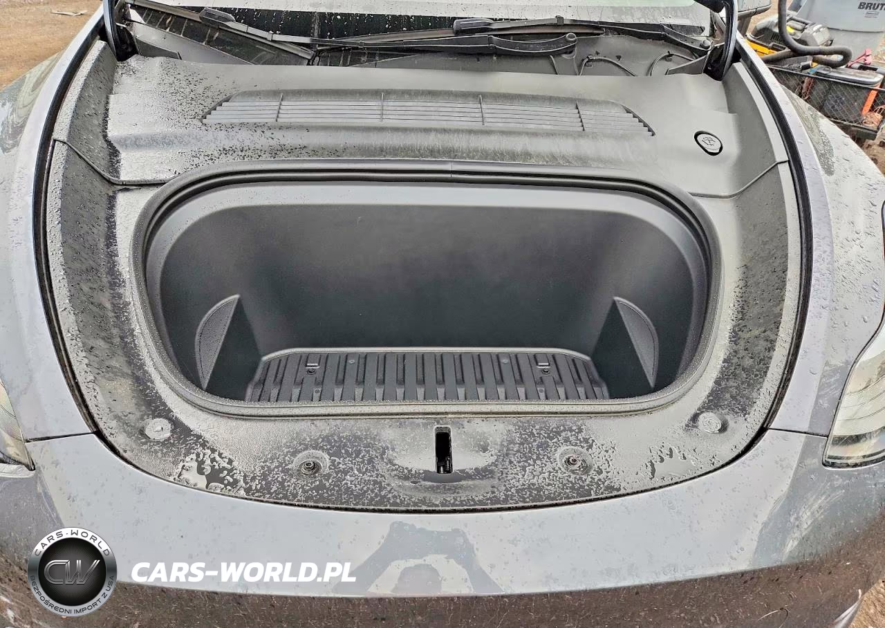 2023 Tesla Model Y VIN:7SAYGDEEXPF698951 - 11
