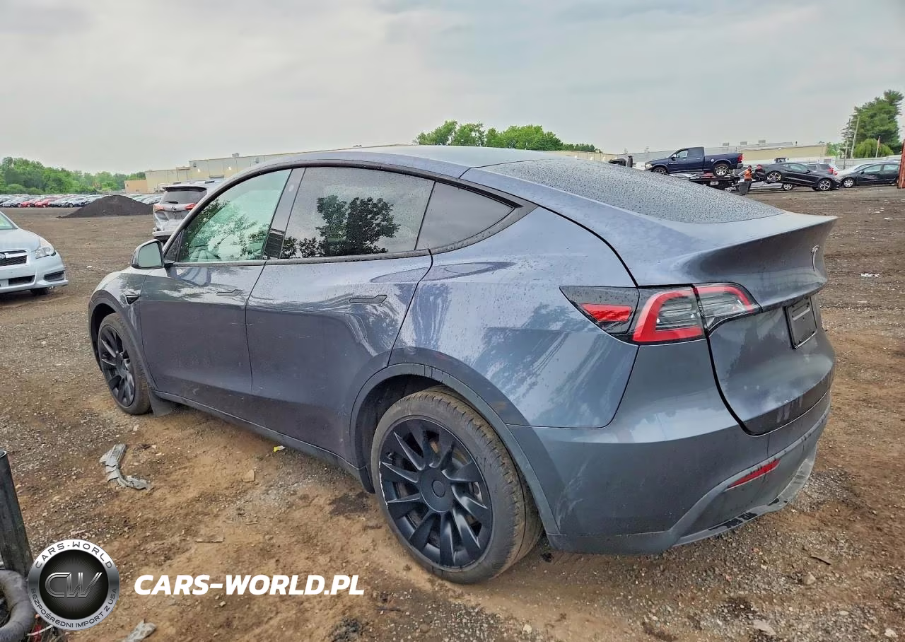 2023 Tesla Model Y VIN:7SAYGDEEXPF698951 - 2