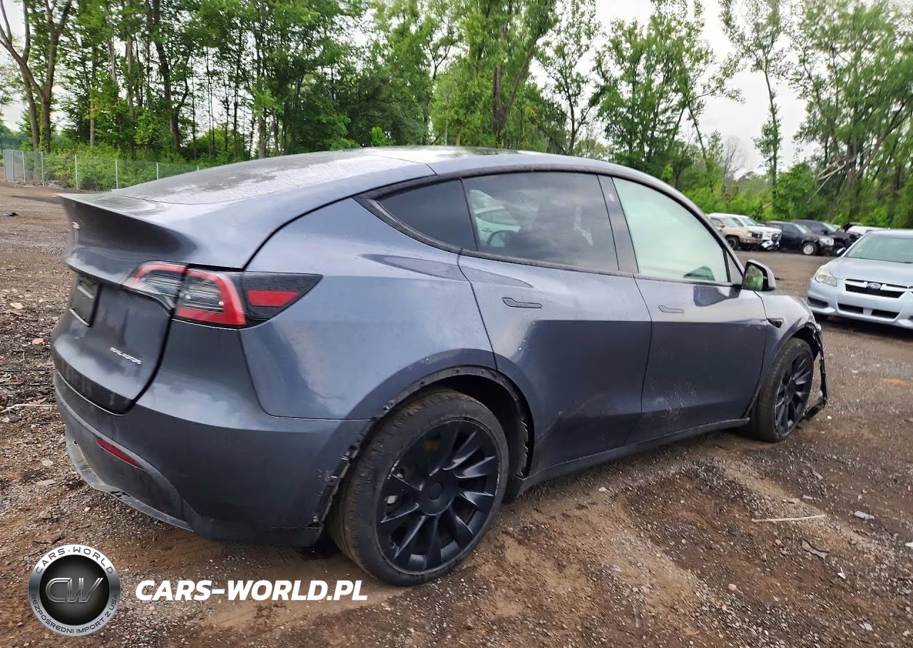 2023 Tesla Model Y VIN:7SAYGDEEXPF698951 - 3
