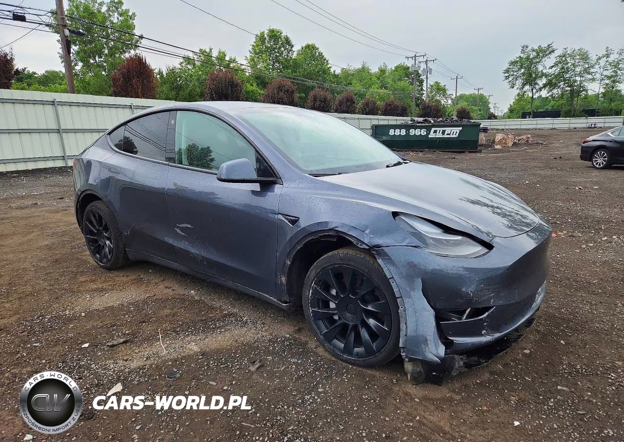 2023 Tesla Model Y VIN:7SAYGDEEXPF698951 - 4
