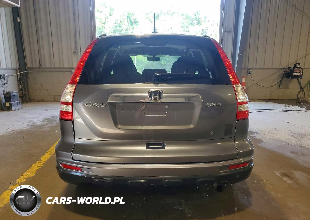 2010 Honda Cr-V Exl VIN:5J6RE4H71AL061708 - 6