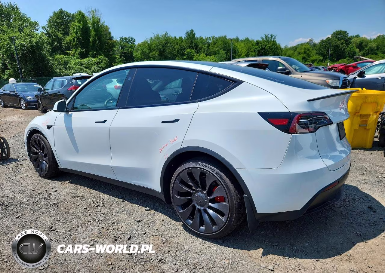 2023 Tesla Model Y VIN:7SAYGDEF7PF860074 - 2