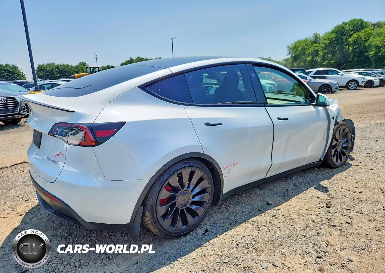 2023 Tesla Model Y VIN:7SAYGDEF7PF860074 - 3