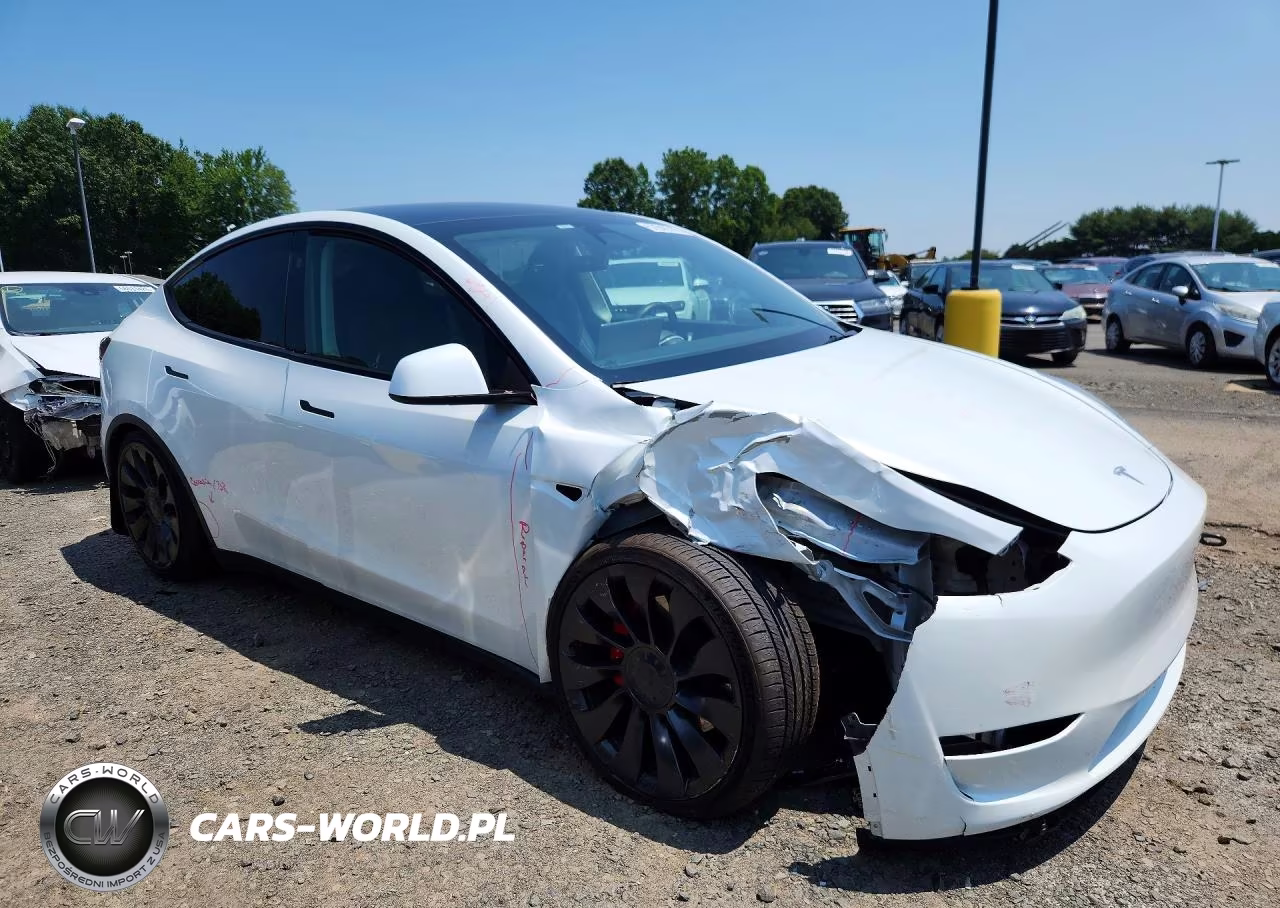 2023 Tesla Model Y VIN:7SAYGDEF7PF860074 - 4