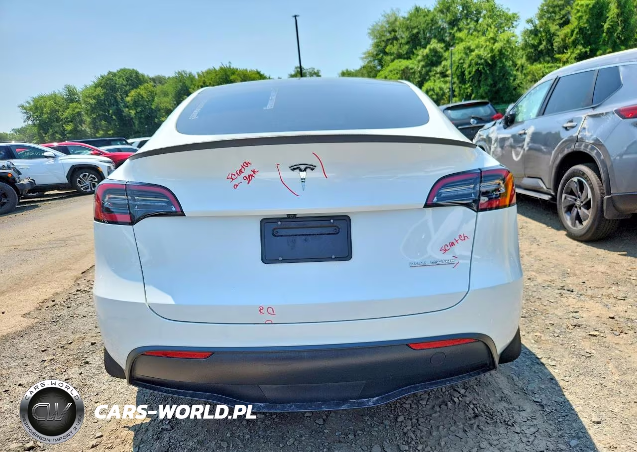 2023 Tesla Model Y VIN:7SAYGDEF7PF860074 - 6