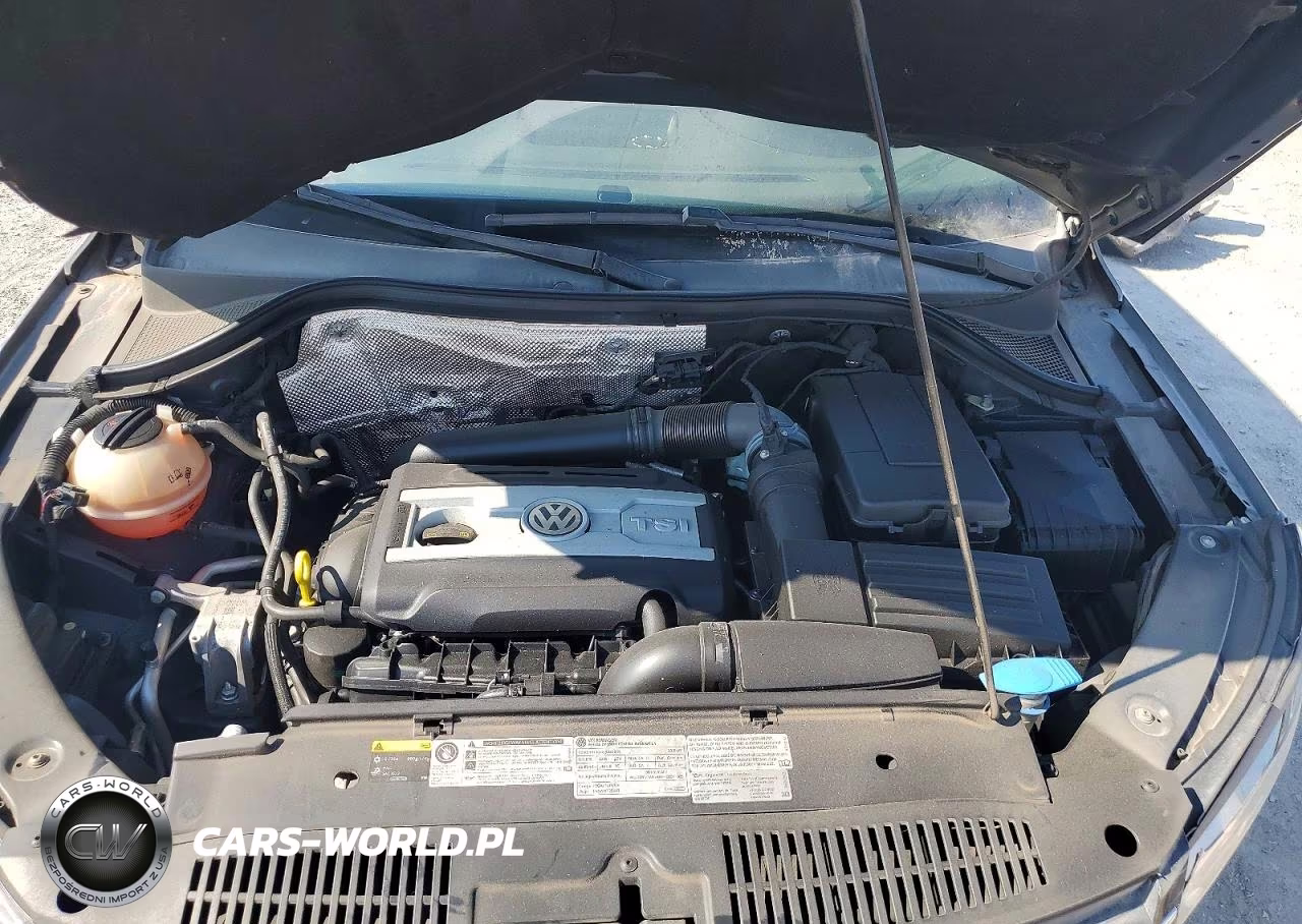 2015 Volkswagen Tiguan S VIN:WVGBV7AX6FW556006 - 12