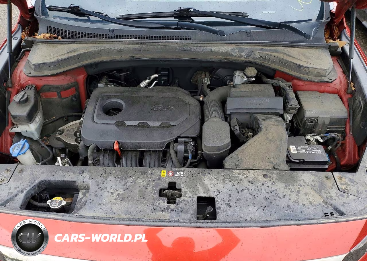 2019 Hyundai Santa Fe Sel 2.4L VIN:5NMS3CAD6KH061827 - 12