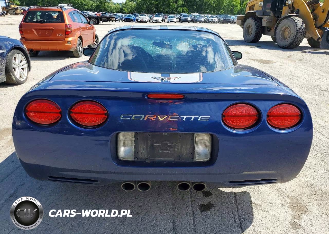 2004 Chevrolet Corvette VIN:1G1YY22GX45104398 - 10