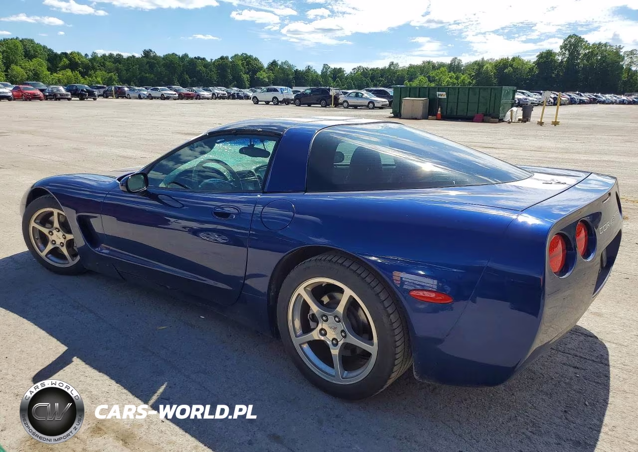 2004 Chevrolet Corvette VIN:1G1YY22GX45104398 - 2