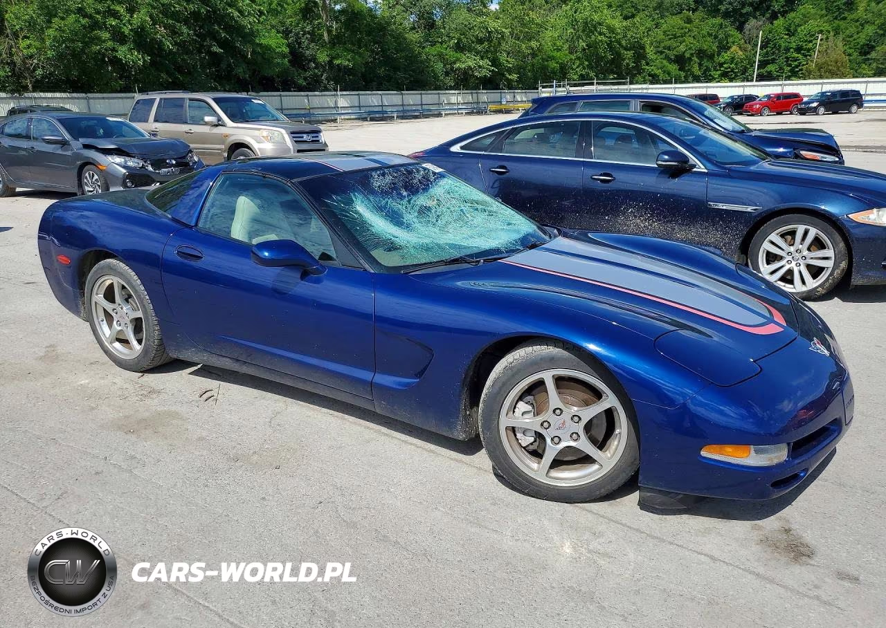 2004 Chevrolet Corvette VIN:1G1YY22GX45104398 - 4