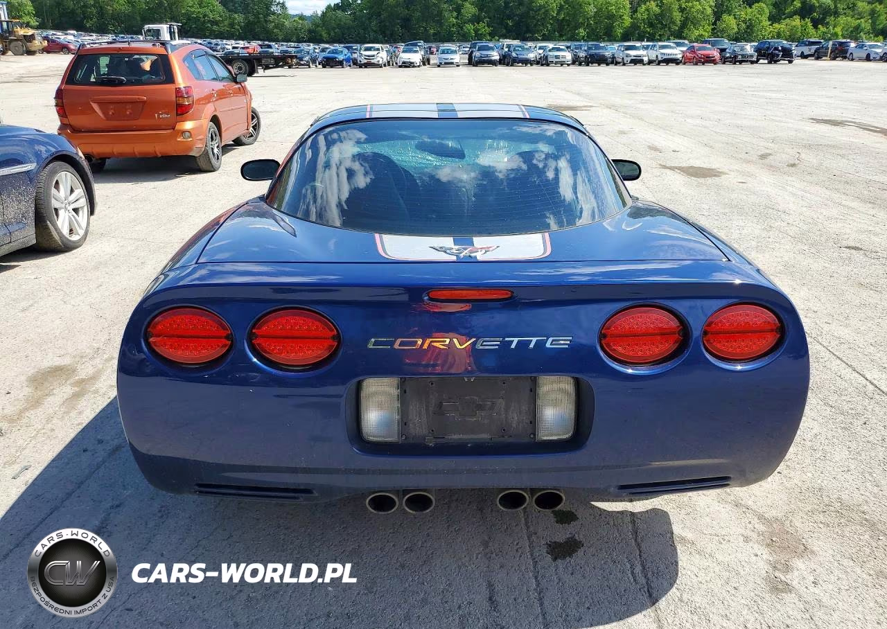 2004 Chevrolet Corvette VIN:1G1YY22GX45104398 - 6