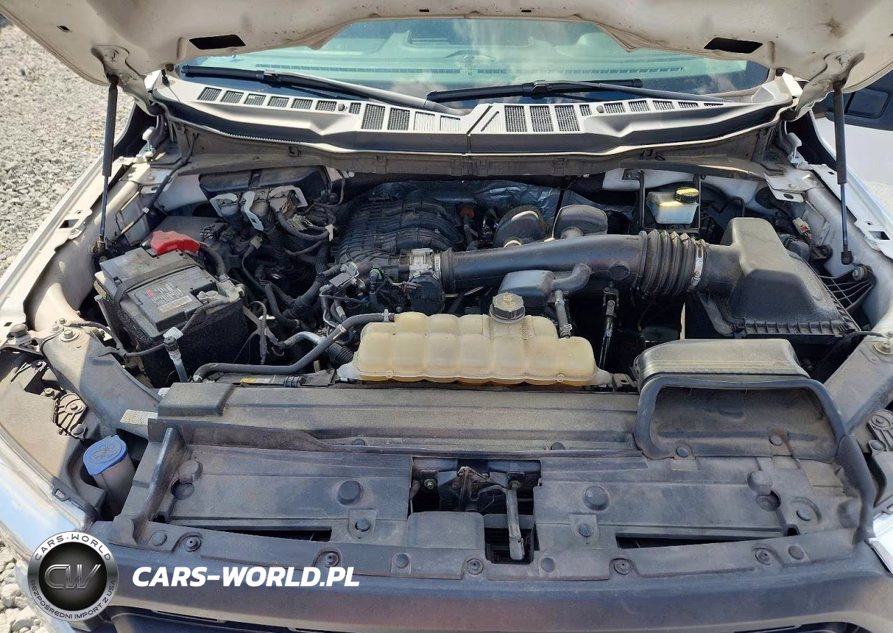 2021 Ford F150 VIN:1FTMF1CB6MKD04012 - 12
