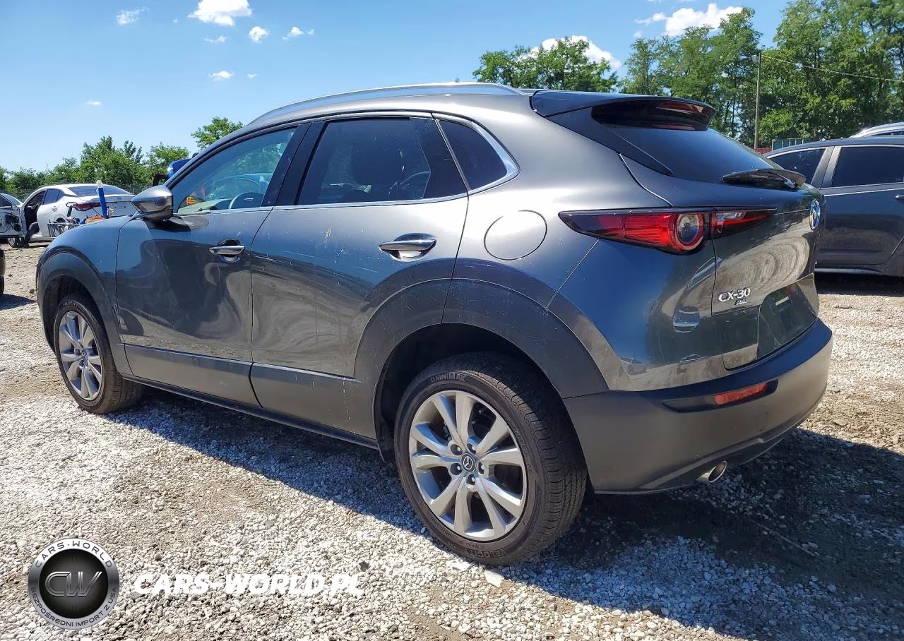2022 Mazda Cx-30 Premium VIN:3MVDMBDL7NM455419 - 2