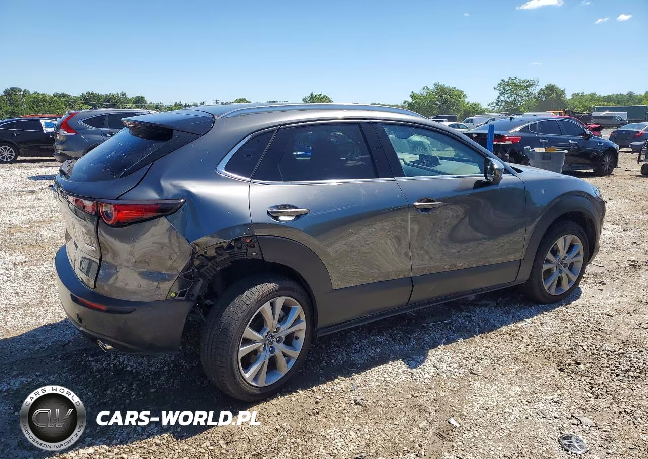 2022 Mazda Cx-30 Premium VIN:3MVDMBDL7NM455419 - 3