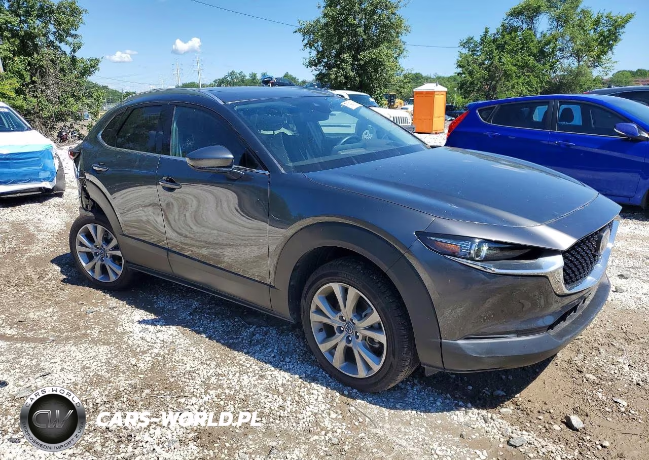 2022 Mazda Cx-30 Premium VIN:3MVDMBDL7NM455419 - 4