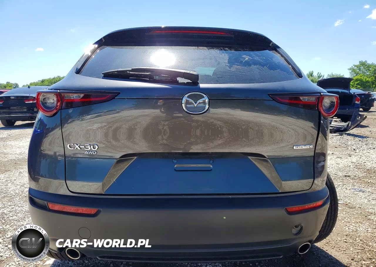 2022 Mazda Cx-30 Premium VIN:3MVDMBDL7NM455419 - 6