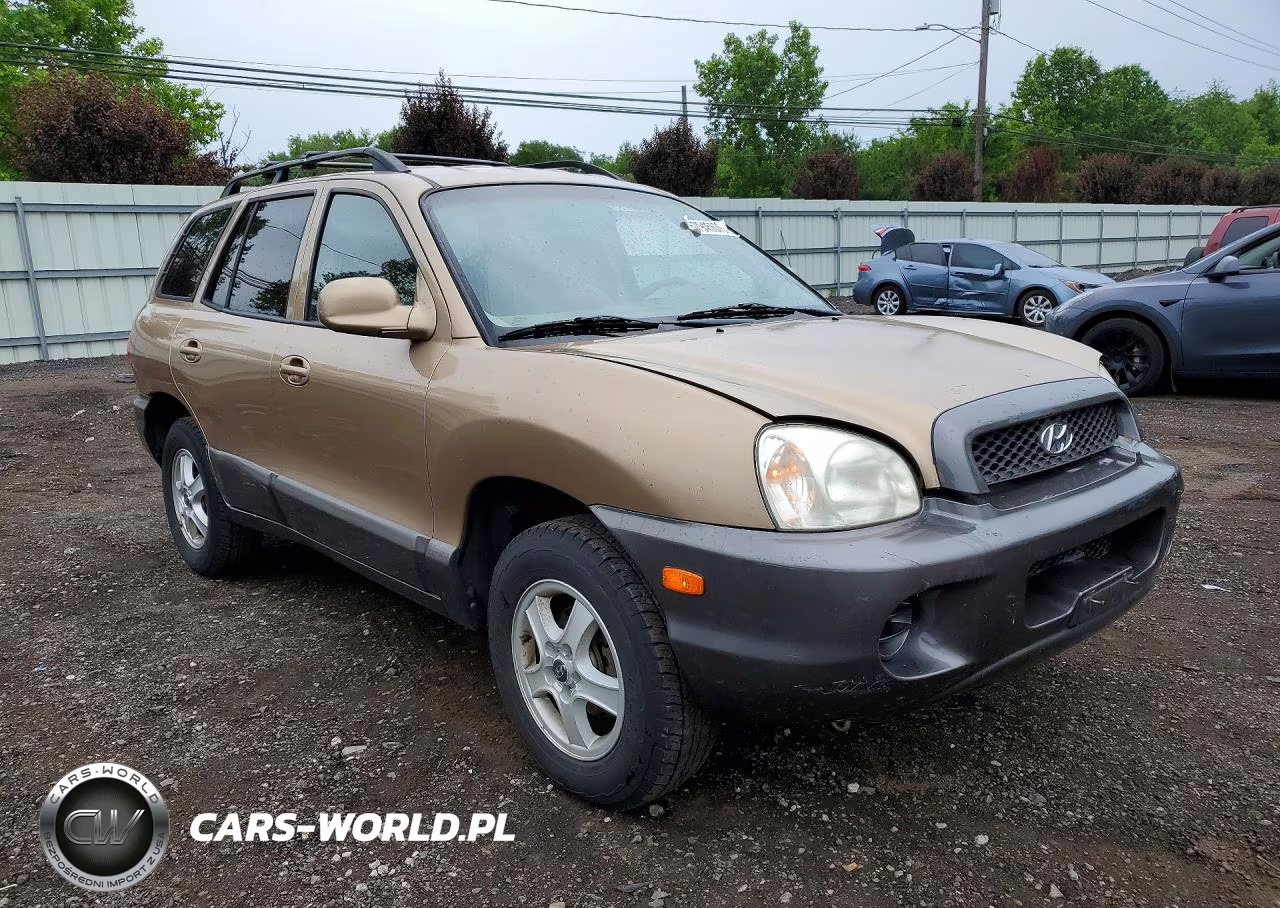 2004 Hyundai Santa Fe Gl VIN:KM8SB12B14U713197 - 4