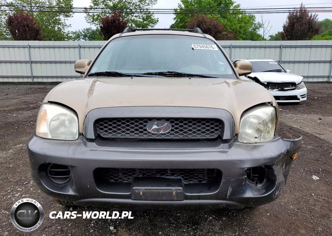 2004 Hyundai Santa Fe Gl VIN:KM8SB12B14U713197 - 5