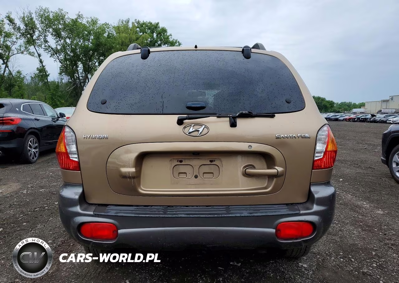 2004 Hyundai Santa Fe Gl VIN:KM8SB12B14U713197 - 6