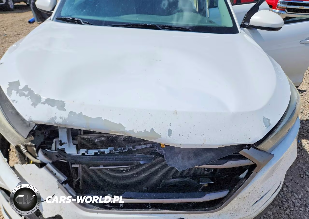 2016 Hyundai Tucson Se VIN:KM8J3CA48GU065482 - 12
