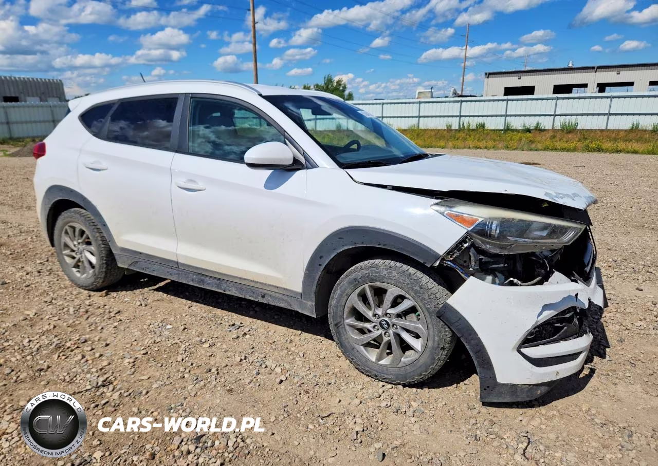 2016 Hyundai Tucson Se VIN:KM8J3CA48GU065482 - 4