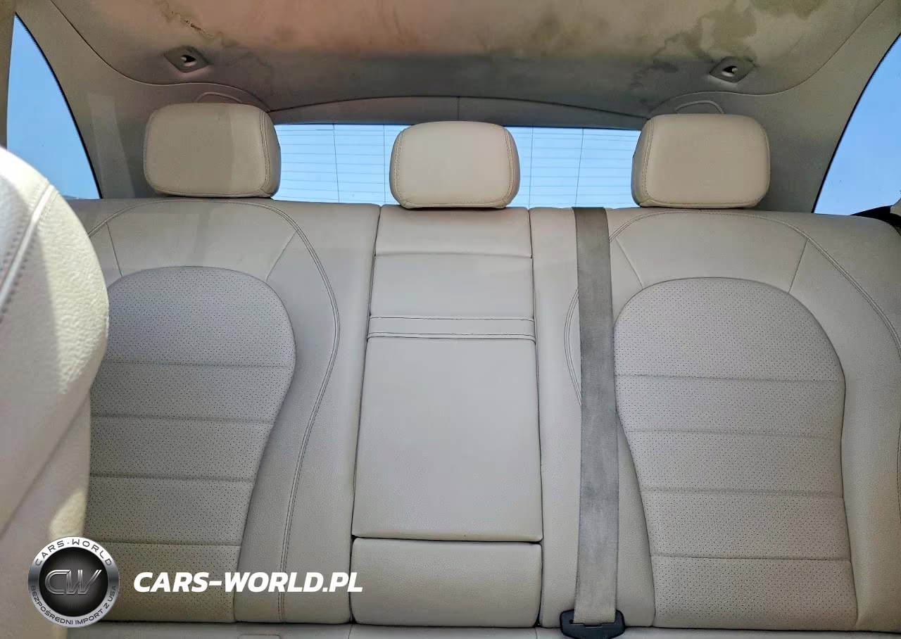 2017 Mercedes-Benz Glc 300 VIN:WDC0G4JB4HF195879 - 10