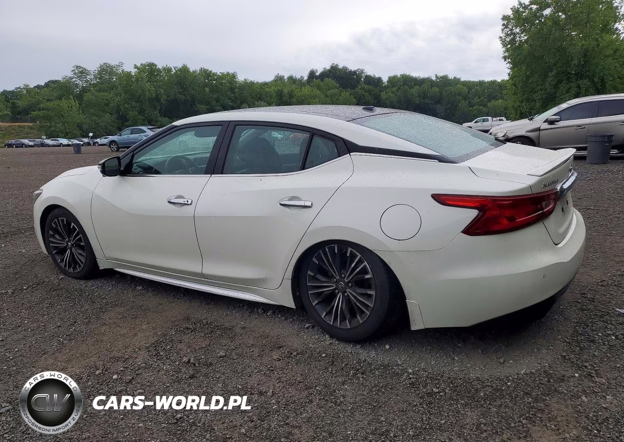 2017 Nissan Maxima Platinum VIN:1N4AA6AP4HC396921 - 2