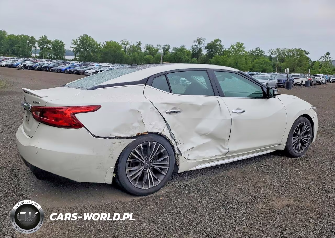2017 Nissan Maxima Platinum VIN:1N4AA6AP4HC396921 - 3
