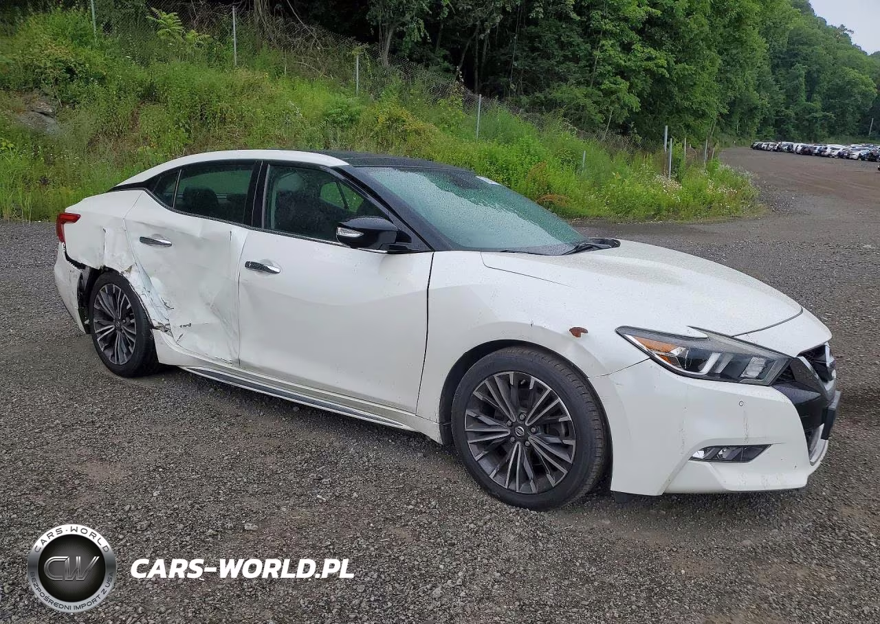 2017 Nissan Maxima Platinum VIN:1N4AA6AP4HC396921 - 4