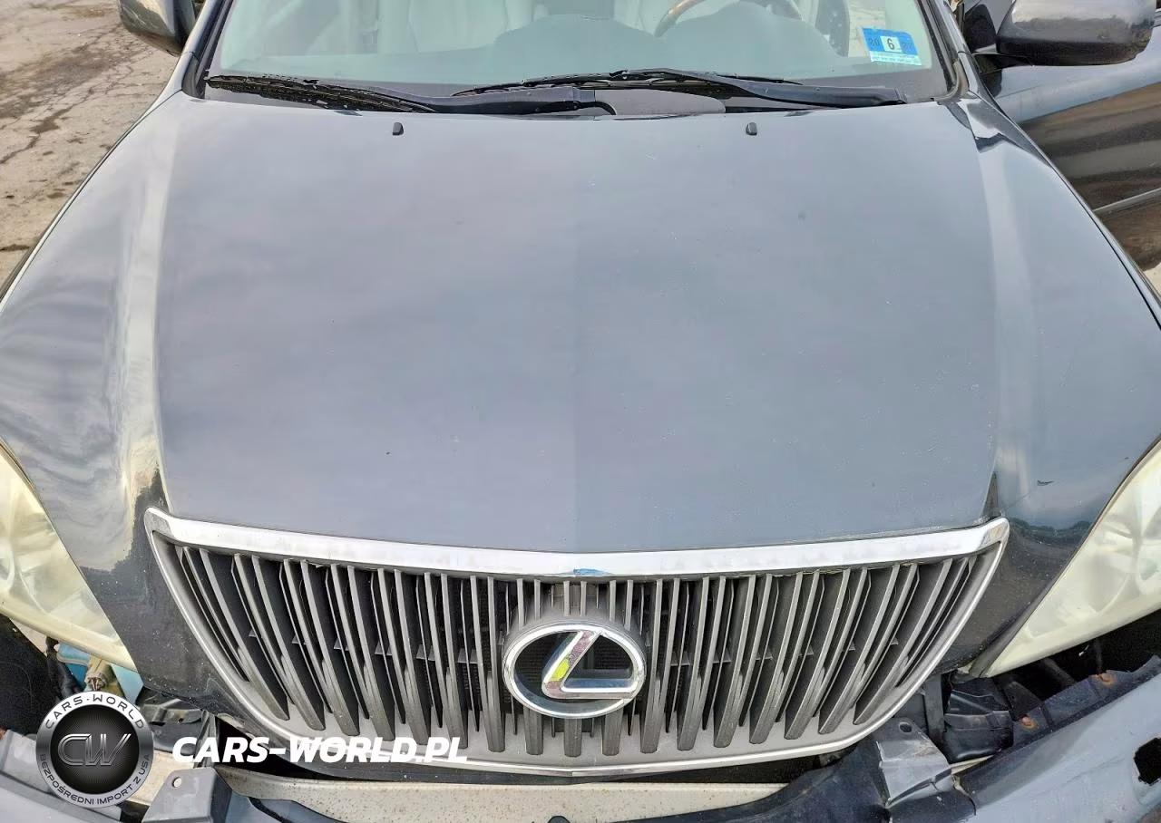 2005 Lexus Rx 330 VIN:2T2HA31U35C069910 - 12