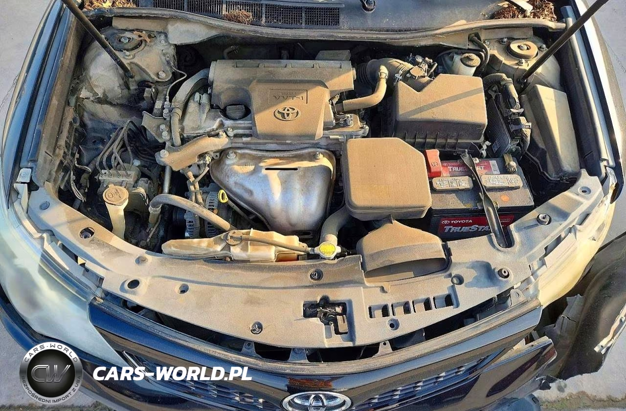2014 Toyota Camry Se VIN:4T1BF1FK2EU318848 - 11