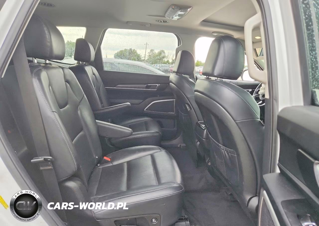 2020 Kia Telluride S VIN:5XYP6DHC6LG005317 - 11