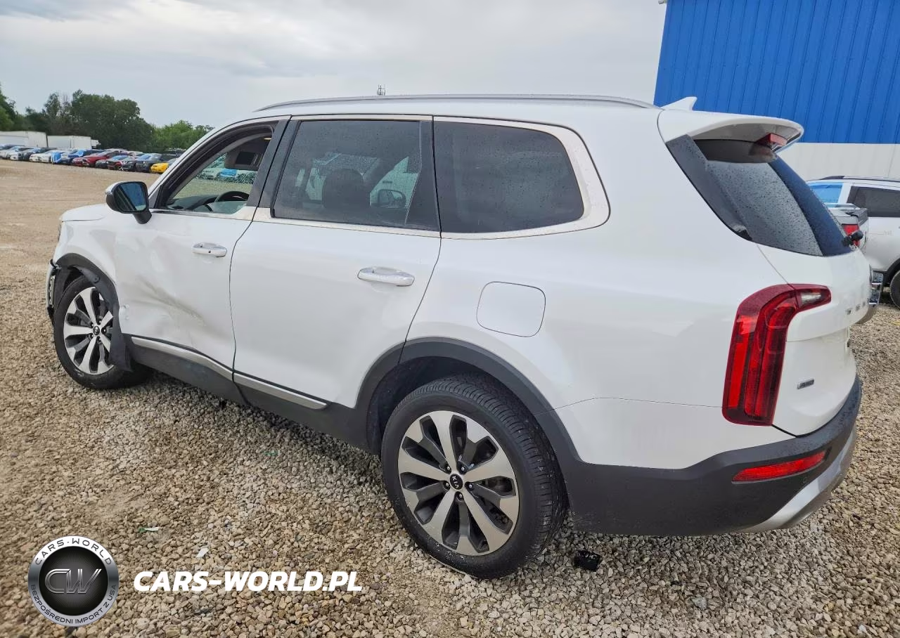 2020 Kia Telluride S VIN:5XYP6DHC6LG005317 - 2