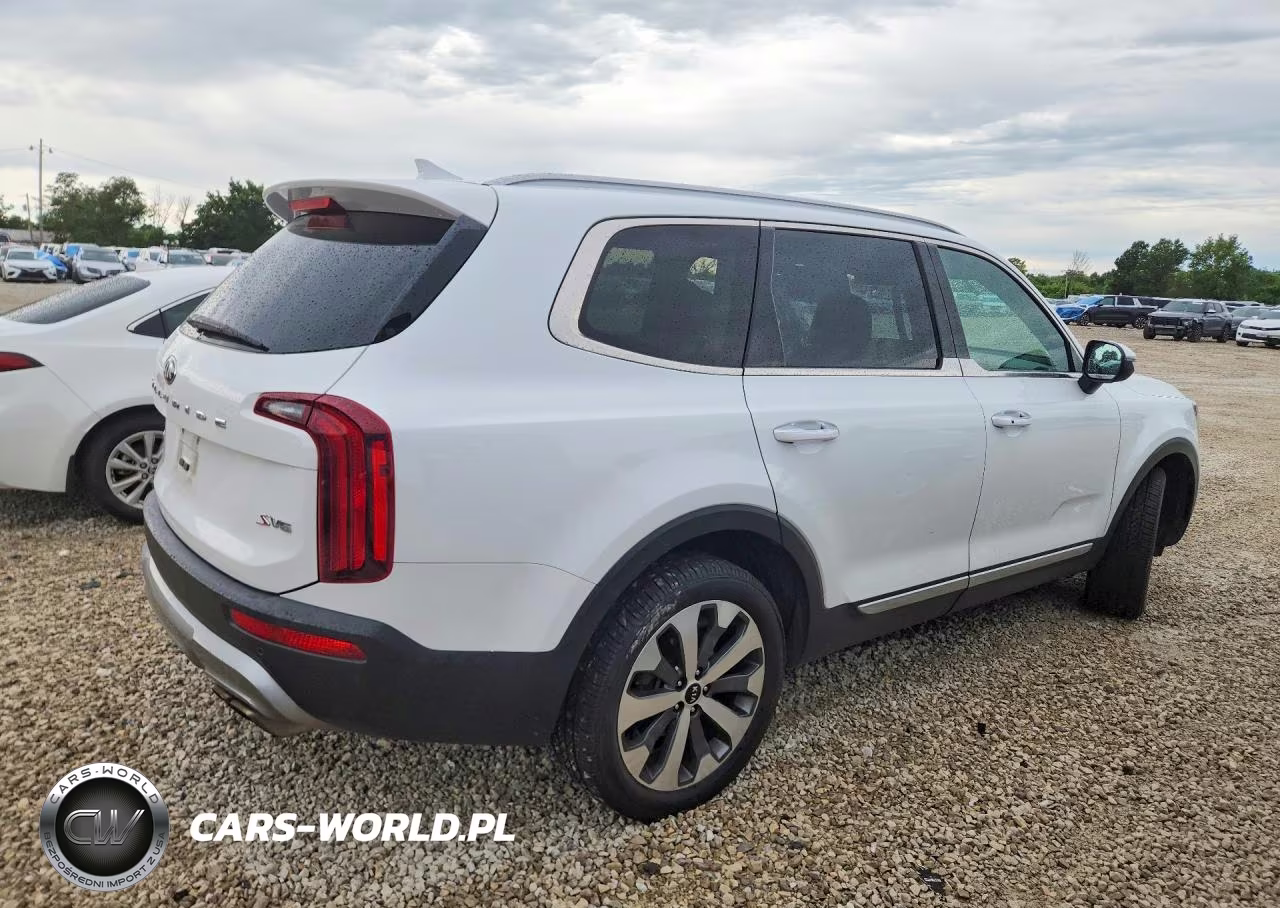 2020 Kia Telluride S VIN:5XYP6DHC6LG005317 - 3