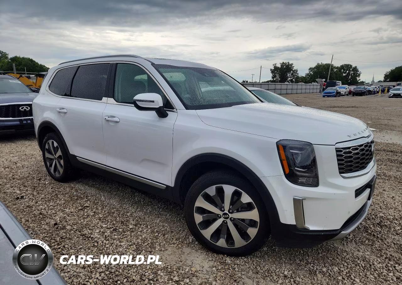 2020 Kia Telluride S VIN:5XYP6DHC6LG005317 - 4