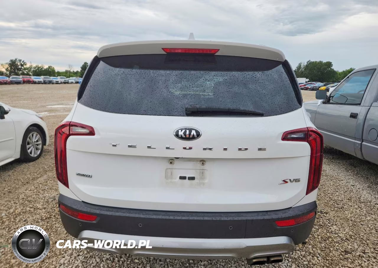 2020 Kia Telluride S VIN:5XYP6DHC6LG005317 - 6