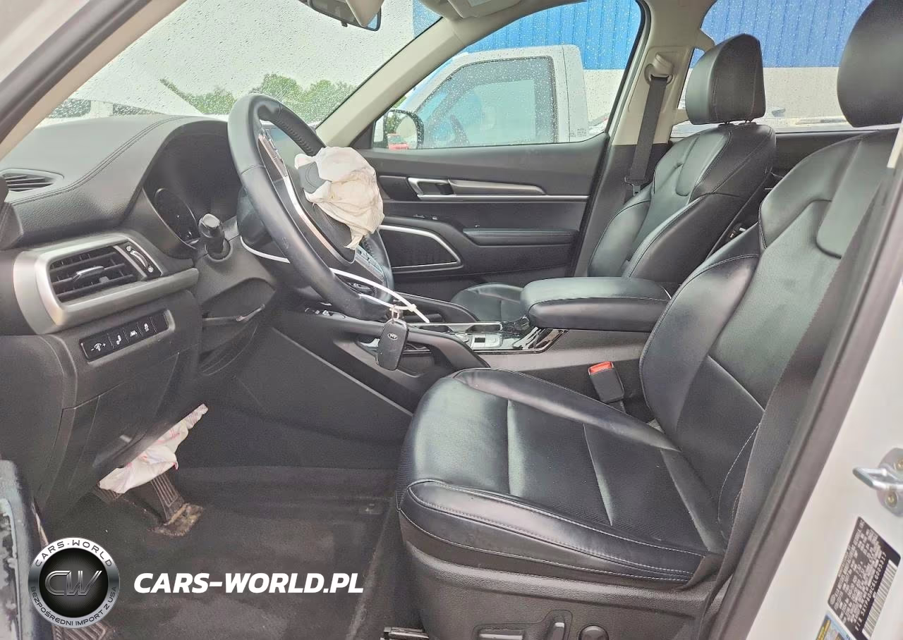 2020 Kia Telluride S VIN:5XYP6DHC6LG005317 - 7