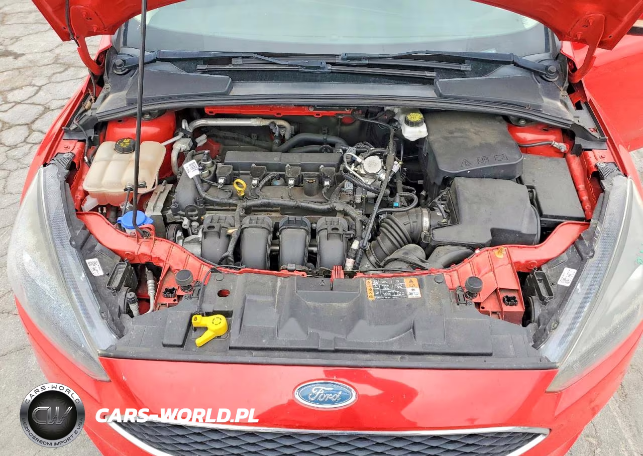 2017 Ford Focus Sel VIN:1FADP3M20HL320476 - 11