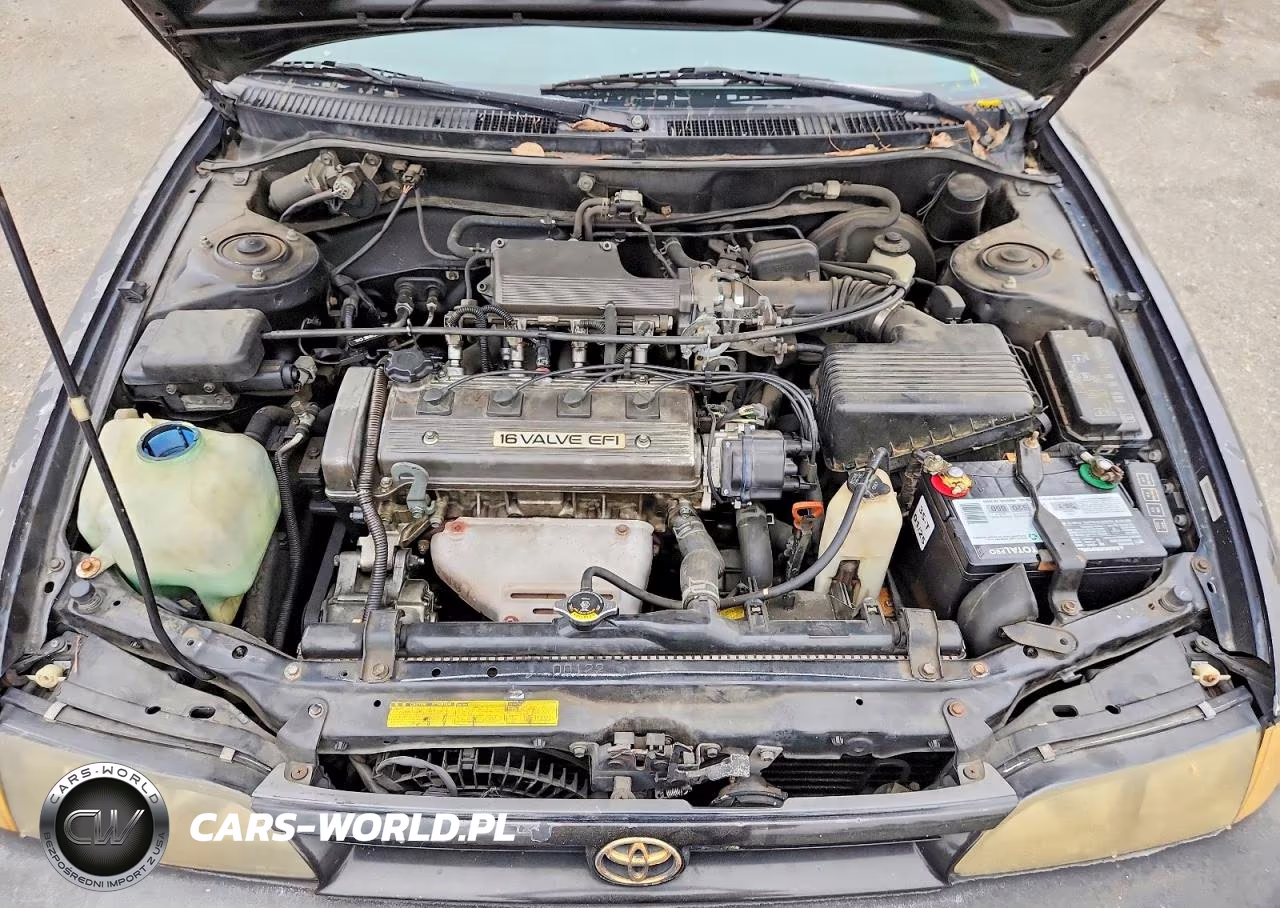 1993 Toyota Corolla VIN:2T1AE00E6PC033036 - 11