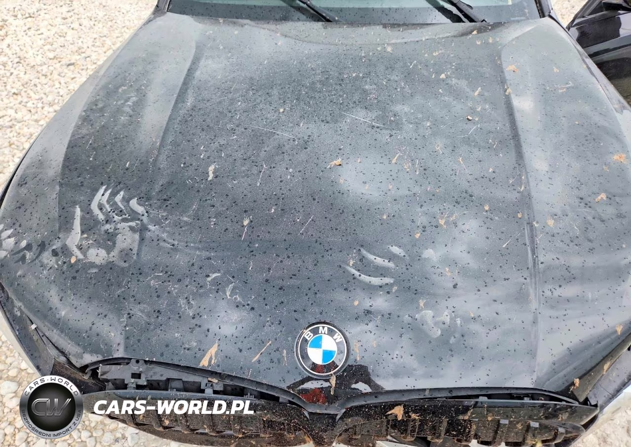 2021 BMW 330I VIN:3MW5R1J02M8B93065 - 11